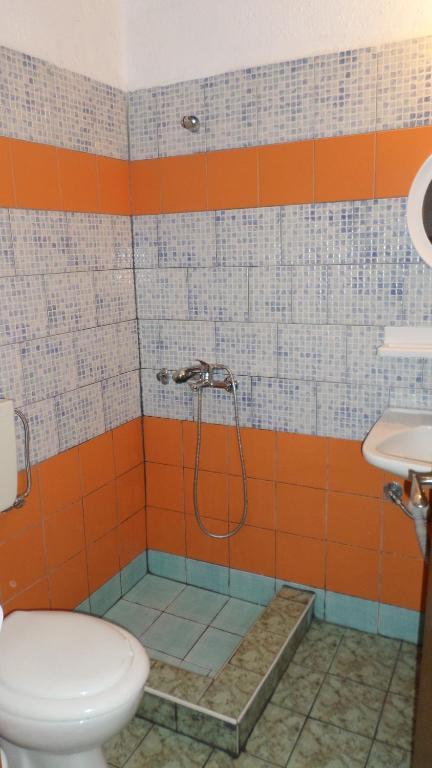 Hotel Dimitra Zeus 렙토카리아 객실 사진